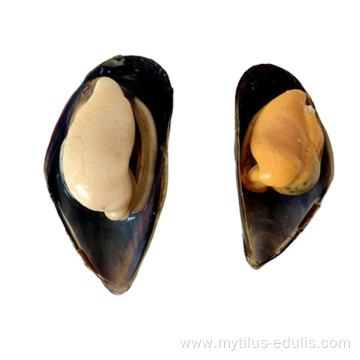 seafood frozen mussel meat in half shell